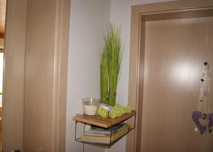 招待所 黑比膳食公寓