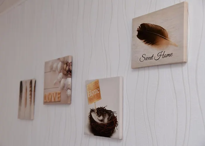 招待所 黑比膳食公寓 3*